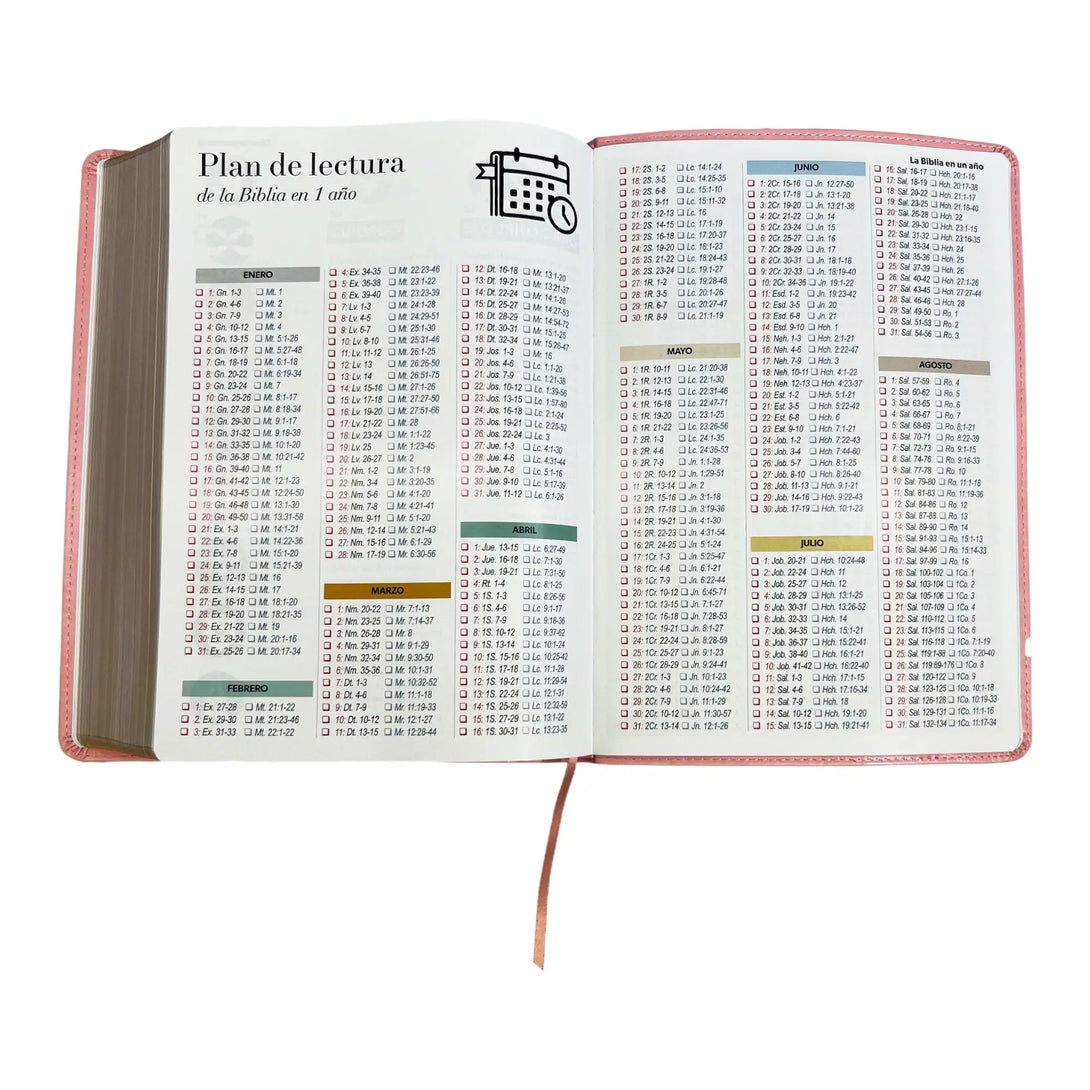 Biblia Reina Valera 1960 tamaño Súper Gigante (185x260 mm)