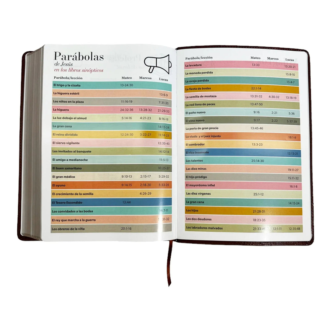 Biblia Reina Valera 1960 tamaño Súper Gigante (185x260 mm)
