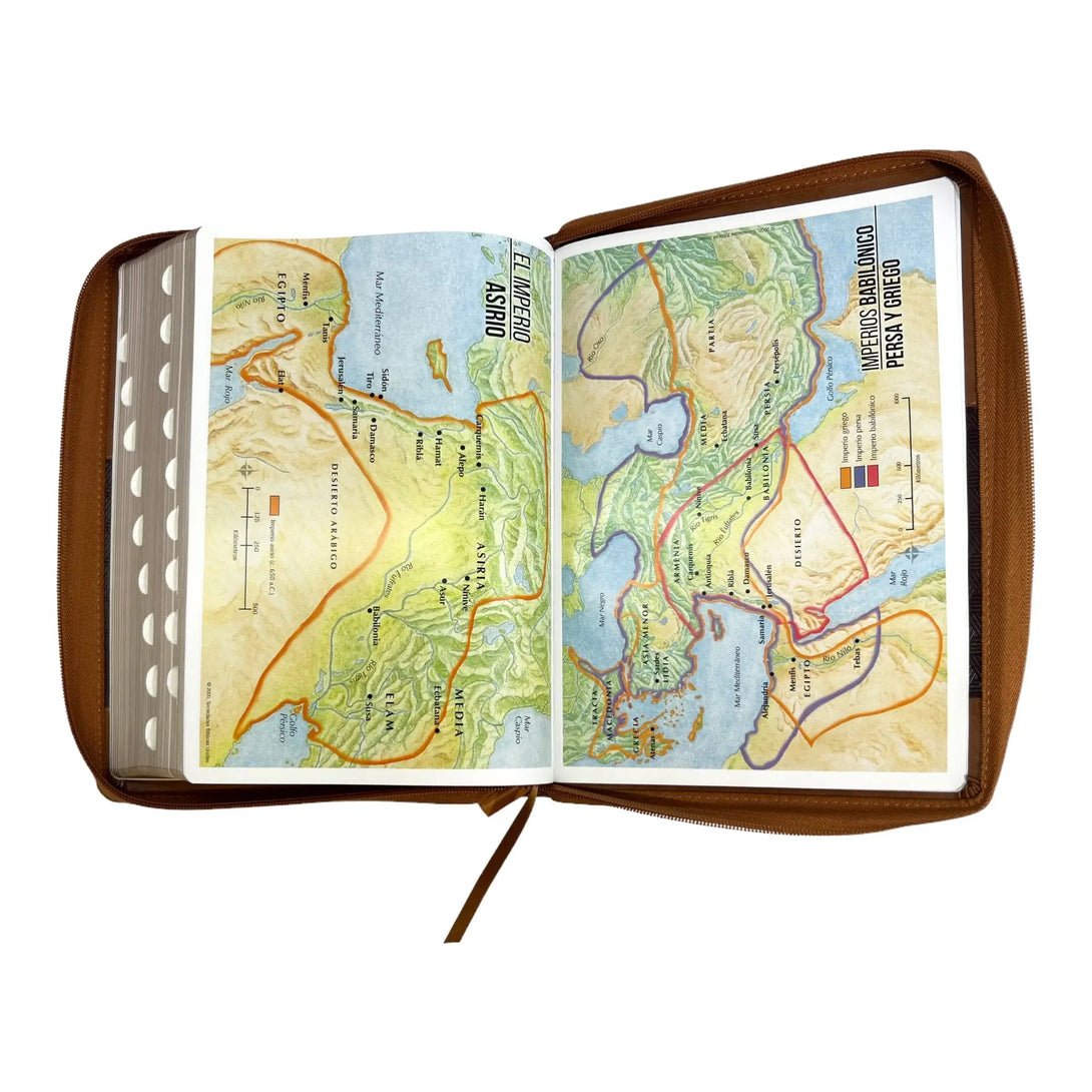 Biblia Reina Valera 1960 tamaño Súper Gigante (185x260 mm)