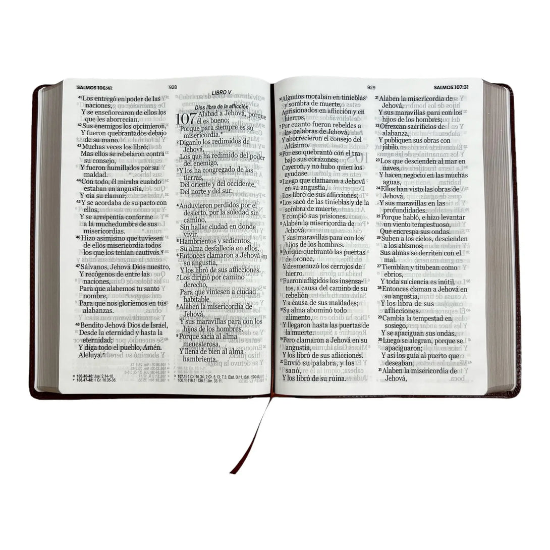 Biblia Reina Valera 1960 tamaño Súper Gigante (185x260 mm)