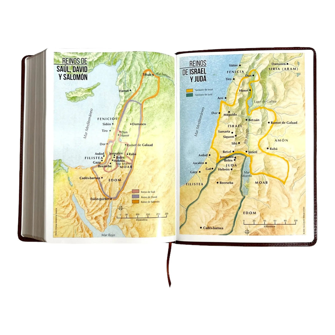 Biblia Reina Valera 1960 tamaño Súper Gigante (185x260 mm)