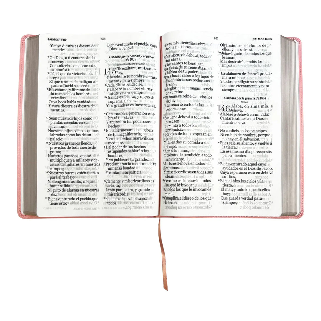 Biblia Reina Valera 1960 tamaño Súper Gigante (185x260 mm)