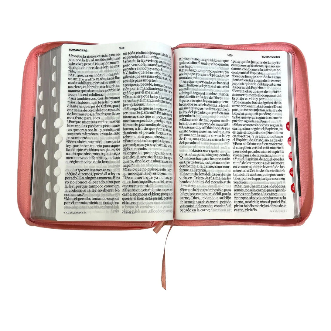 Biblia Reina Valera 1960 tamaño Súper Gigante (185x260 mm)