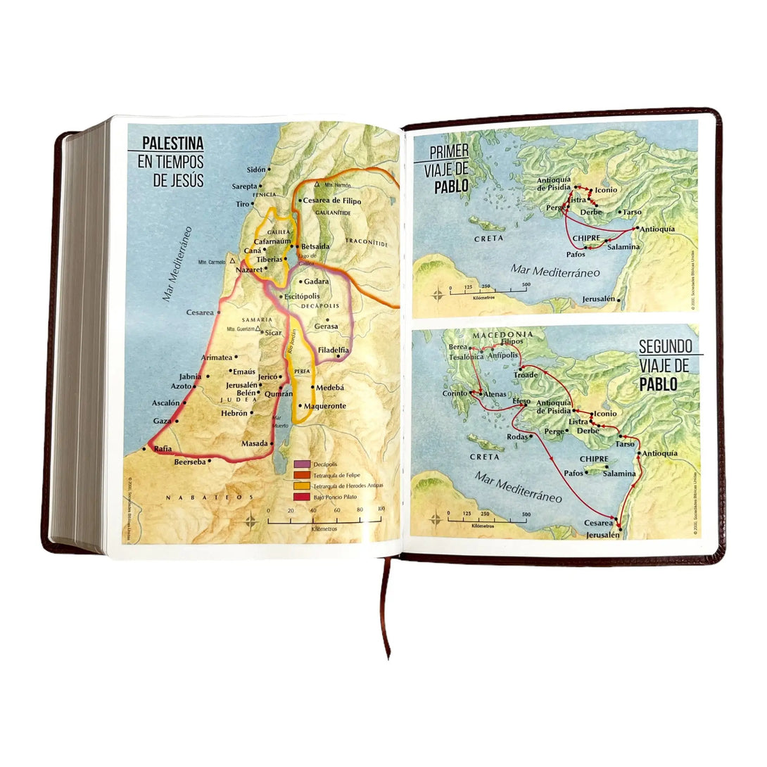 Biblia Reina Valera 1960 tamaño Súper Gigante (185x260 mm)