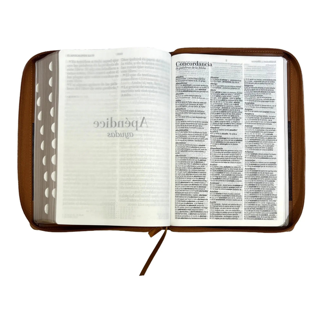 Biblia Reina Valera 1960 tamaño Súper Gigante (185x260 mm)