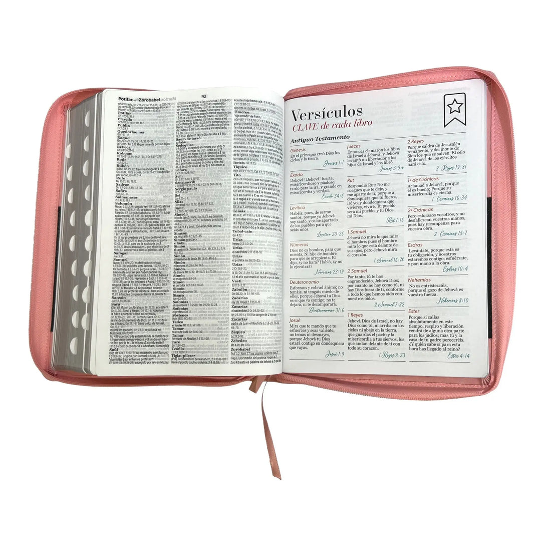 Biblia Reina Valera 1960 tamaño Súper Gigante (185x260 mm)