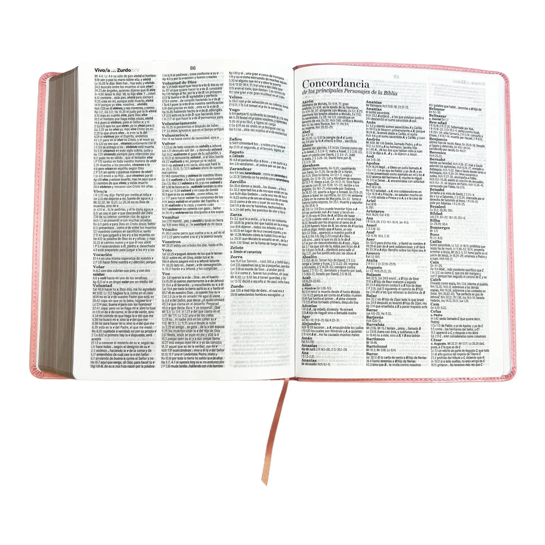Biblia Reina Valera 1960 tamaño Súper Gigante (185x260 mm)