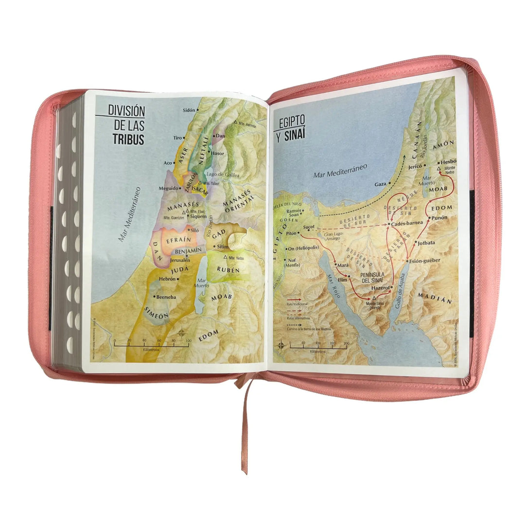 Biblia Reina Valera 1960 tamaño Súper Gigante (185x260 mm)