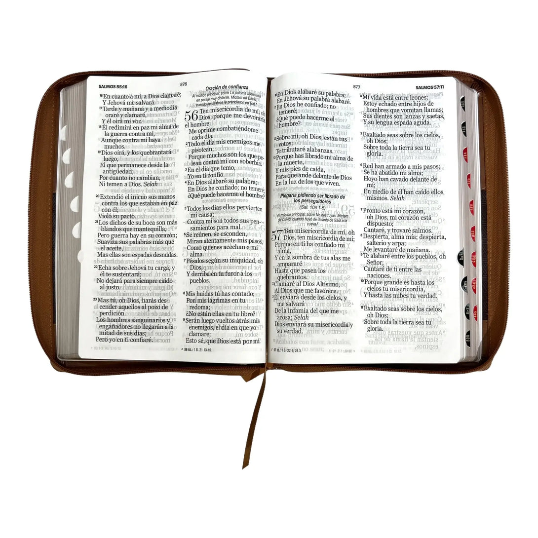 Biblia Reina Valera 1960 tamaño Súper Gigante (185x260 mm)