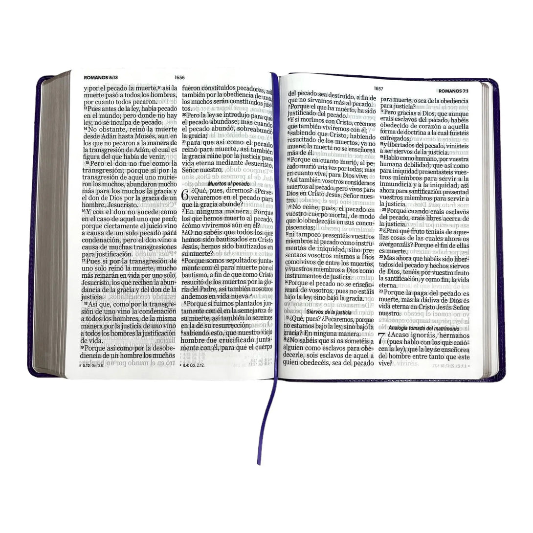 Biblia Reina Valera 1960 tamaño Súper Gigante (185x260 mm)