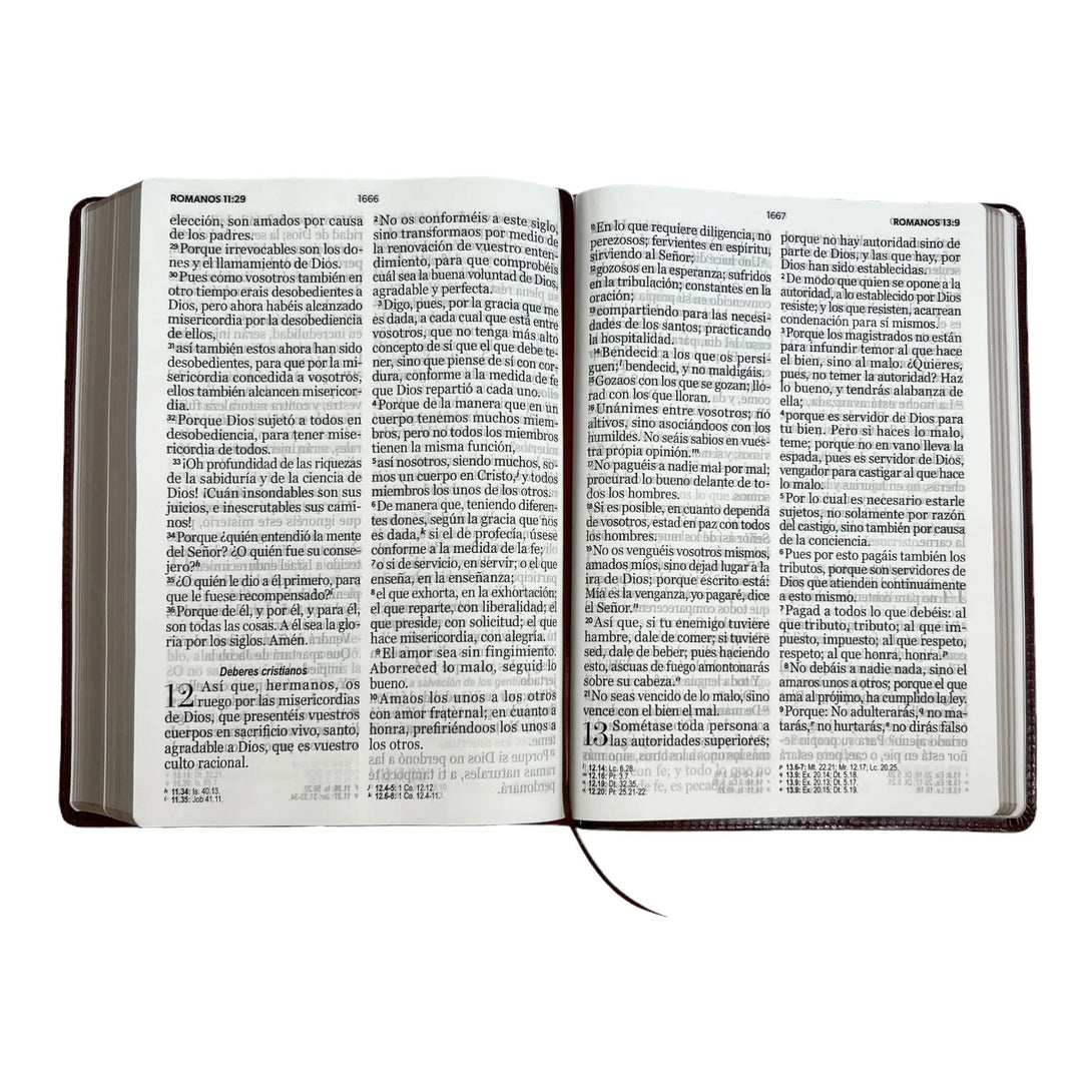 Biblia Reina Valera 1960 tamaño Súper Gigante (185x260 mm)