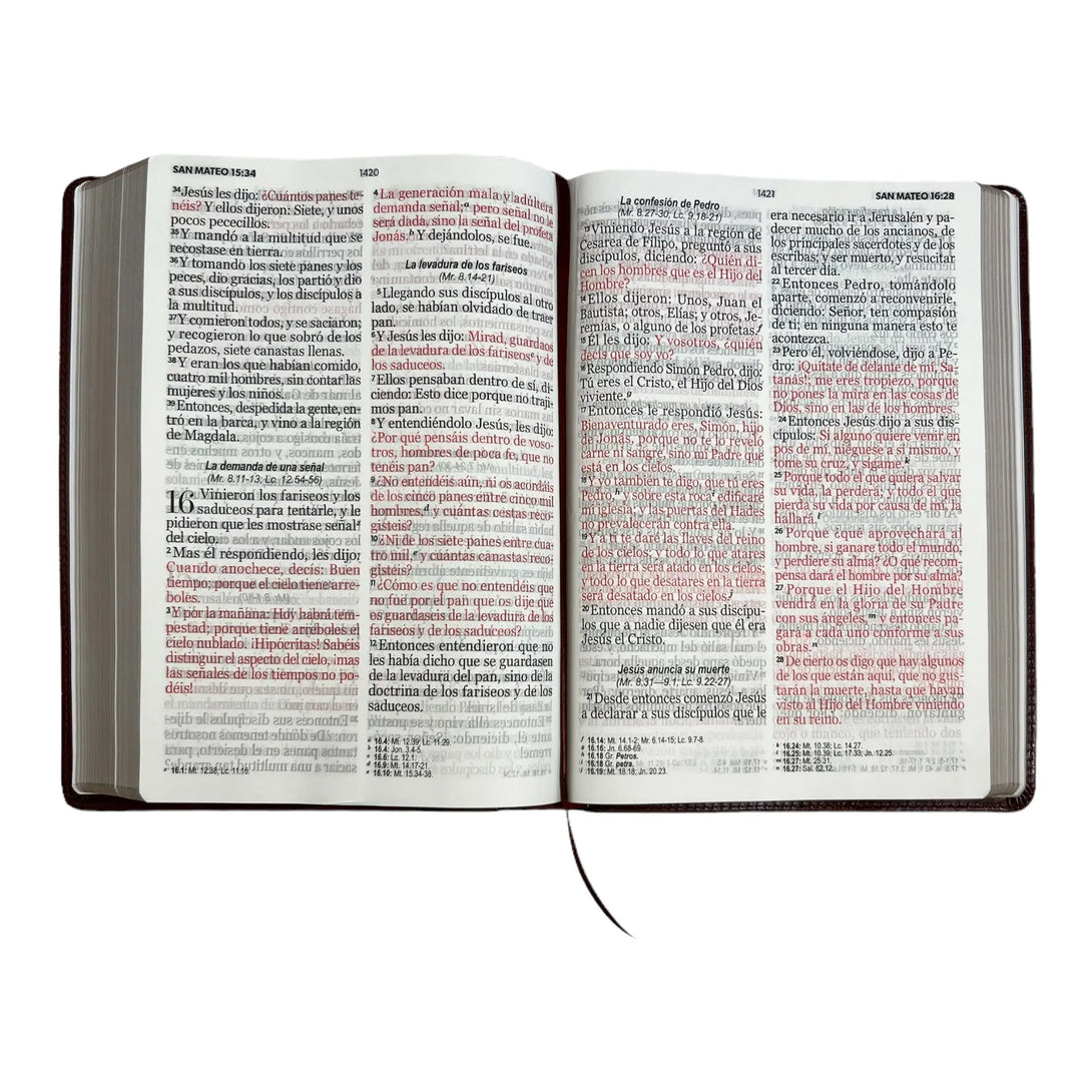 Biblia Reina Valera 1960 tamaño Súper Gigante (185x260 mm)