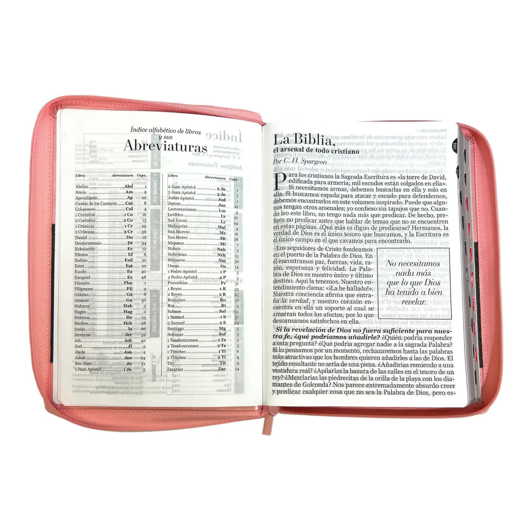 Biblia Reina Valera 1960 tamaño Súper Gigante (185x260 mm)