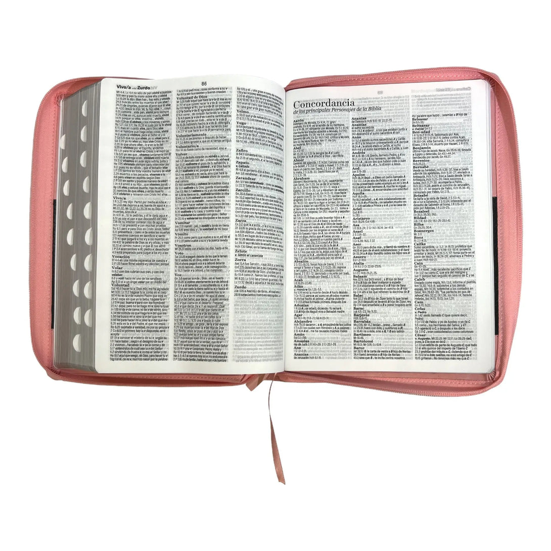 Biblia Reina Valera 1960 tamaño Súper Gigante (185x260 mm)