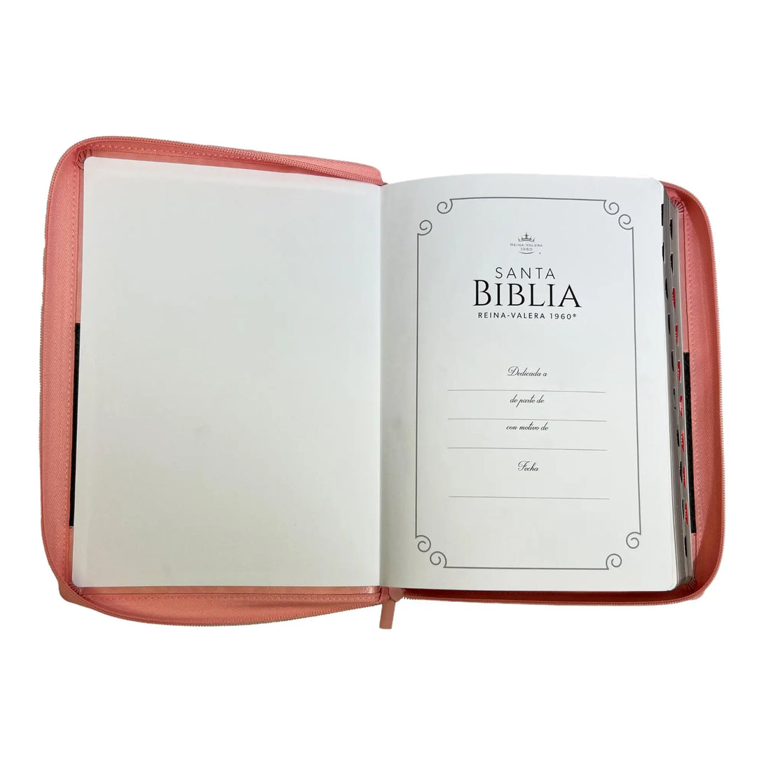 Biblia Reina Valera 1960 tamaño Súper Gigante (185x260 mm)