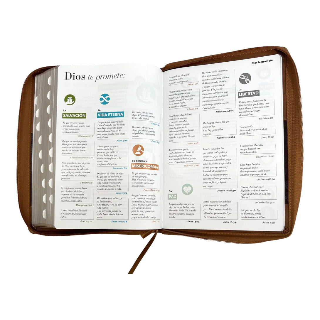 Biblia Reina Valera 1960 tamaño Súper Gigante (185x260 mm)