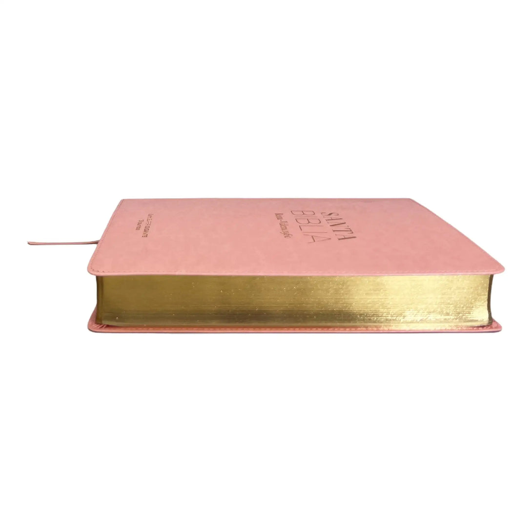 Biblia Reina Valera 1960 tamaño Súper Gigante (185x260 mm)