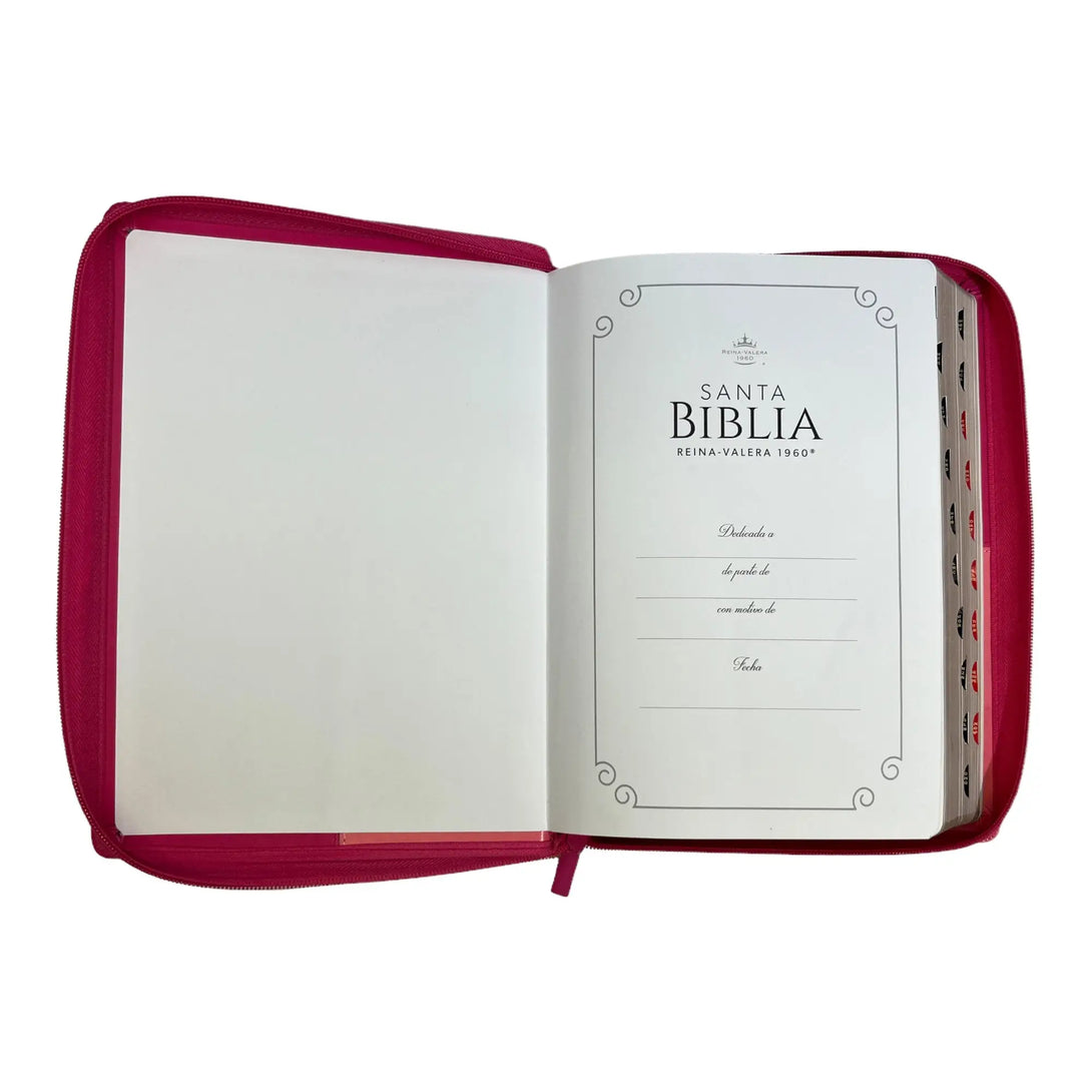 Biblia Reina Valera 1960 tamaño Súper Gigante (185x260 mm)