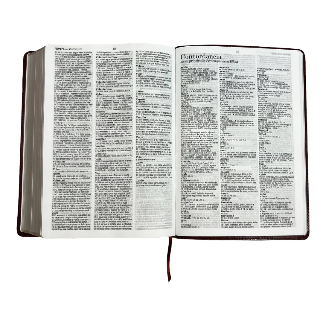 Biblia Reina Valera 1960 tamaño Súper Gigante (185x260 mm)