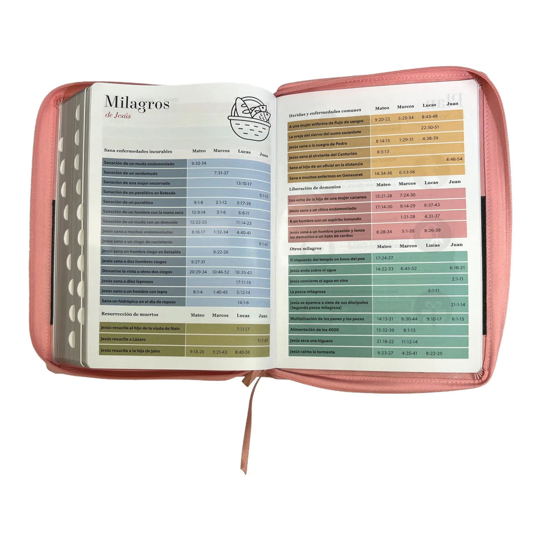 Biblia Reina Valera 1960 tamaño Súper Gigante (185x260 mm)