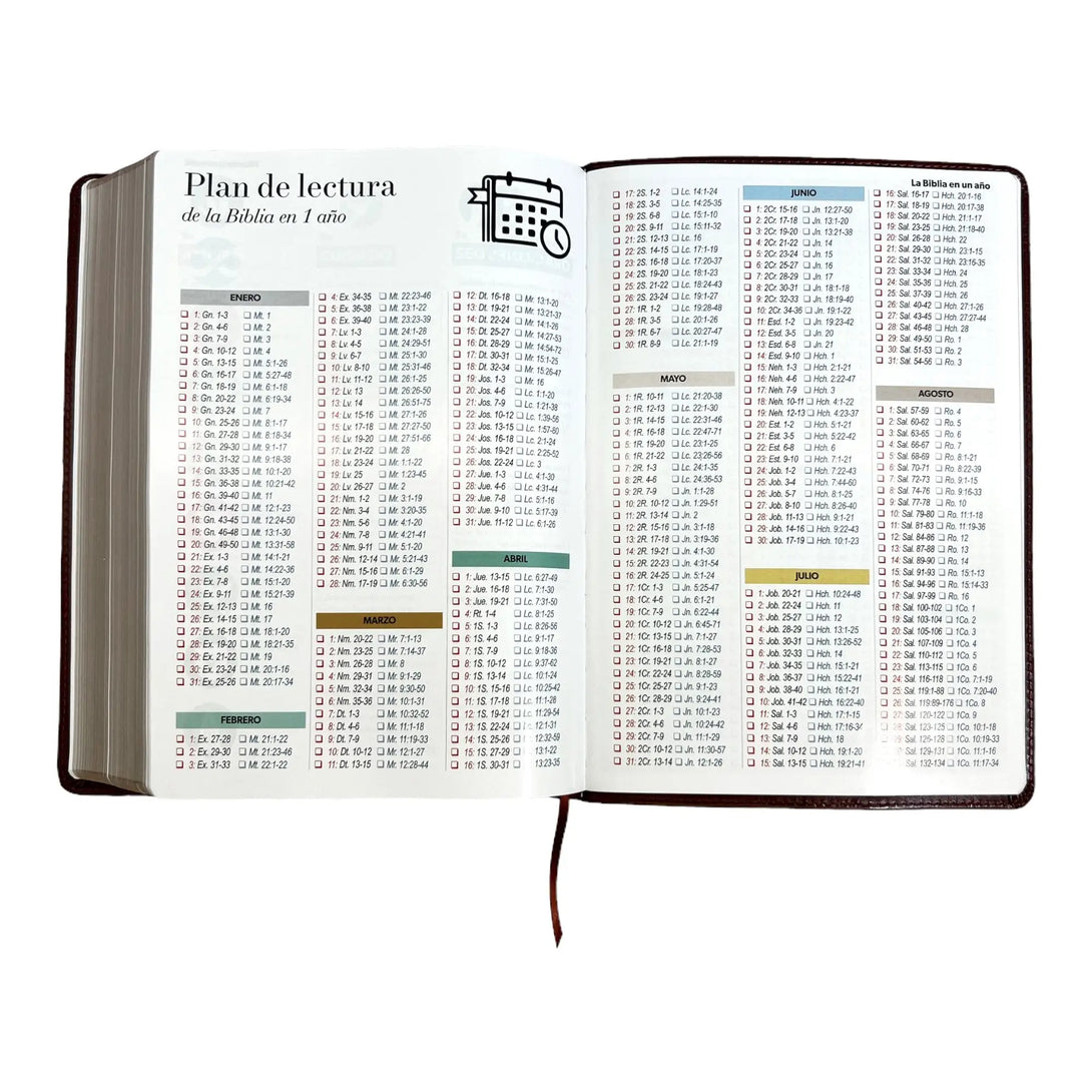Biblia Reina Valera 1960 tamaño Súper Gigante (185x260 mm)