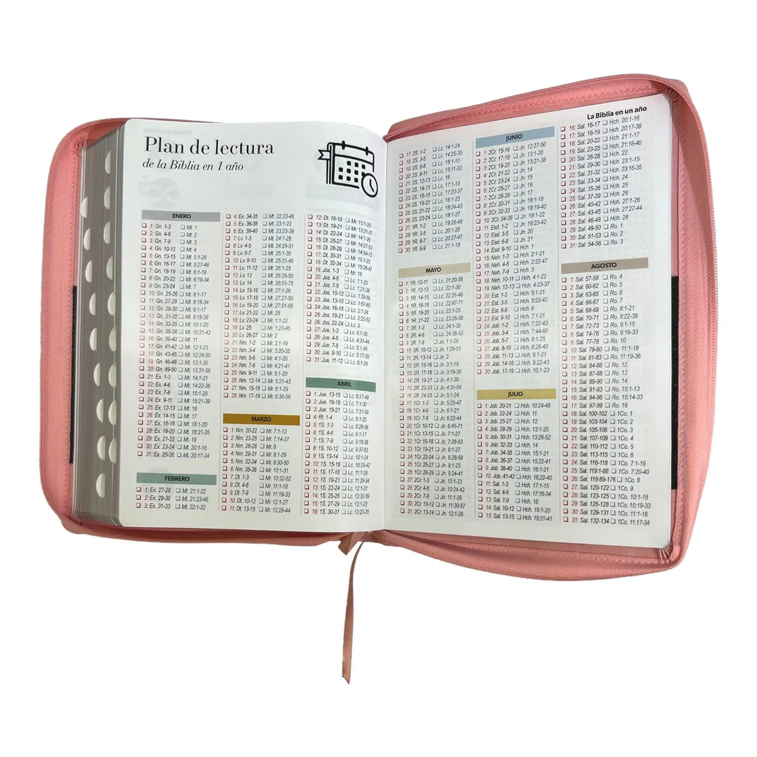 Biblia Reina Valera 1960 tamaño Súper Gigante (185x260 mm)