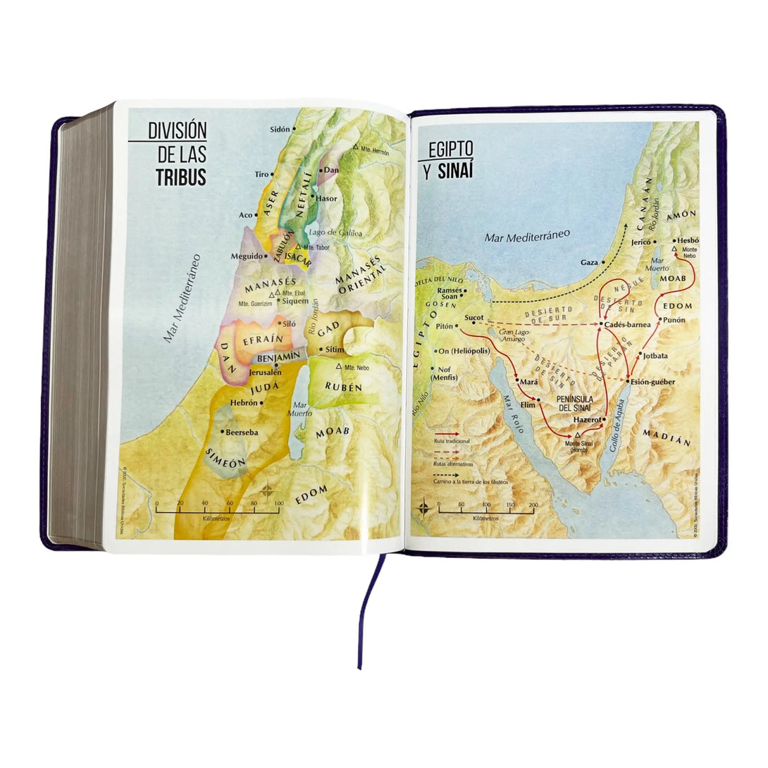 Biblia Reina Valera 1960 tamaño Súper Gigante (185x260 mm)