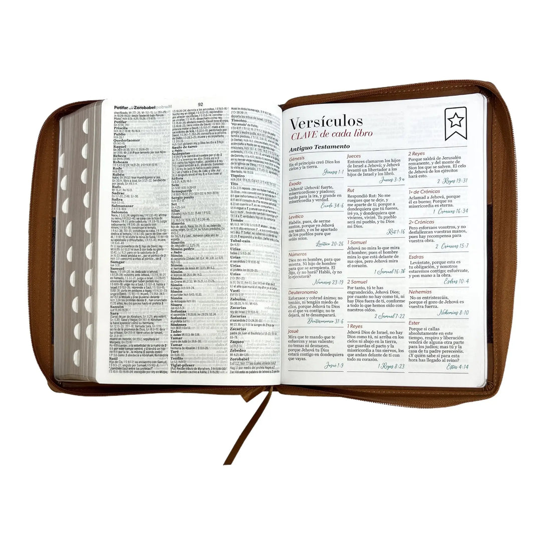 Biblia Reina Valera 1960 tamaño Súper Gigante (185x260 mm)
