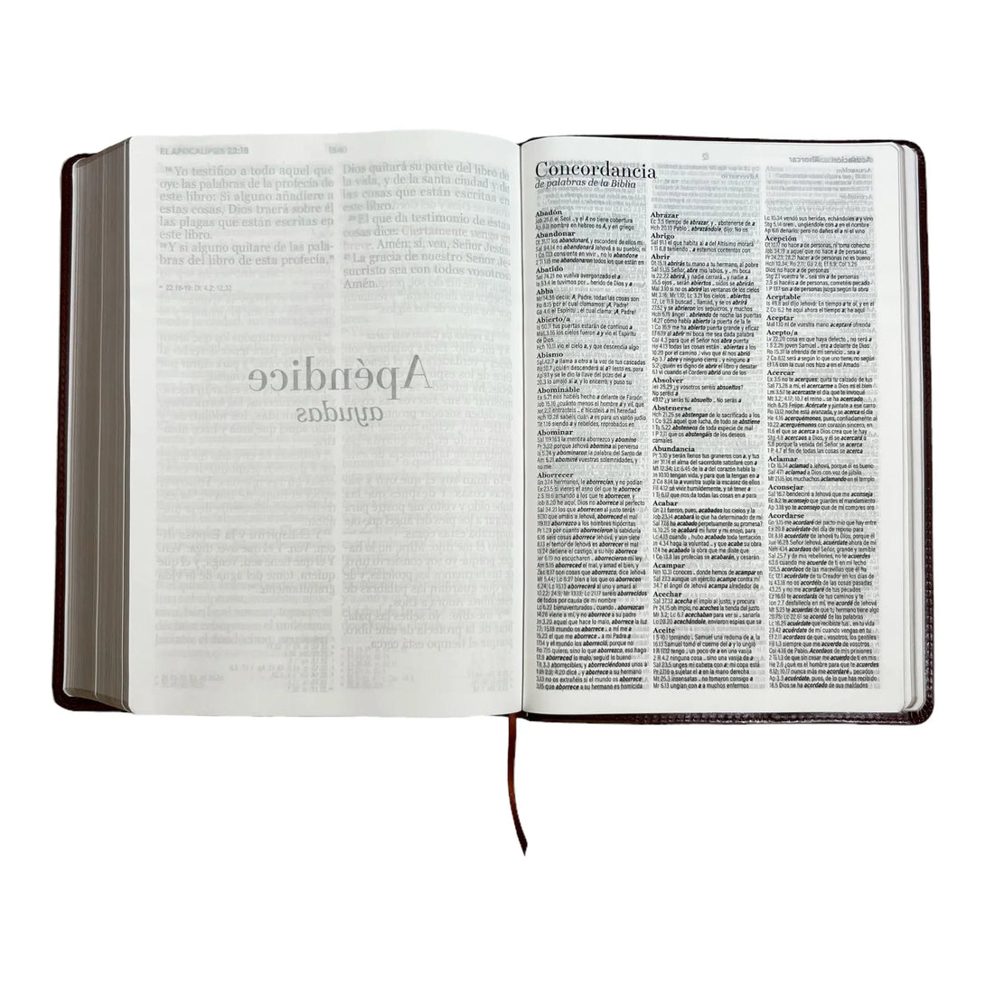 Biblia Reina Valera 1960 tamaño Súper Gigante (185x260 mm)