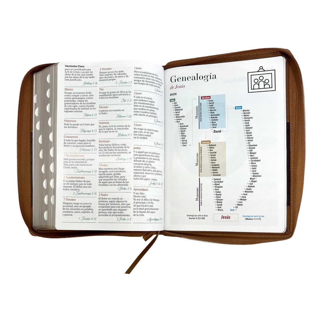 Biblia Reina Valera 1960 tamaño Súper Gigante (185x260 mm)