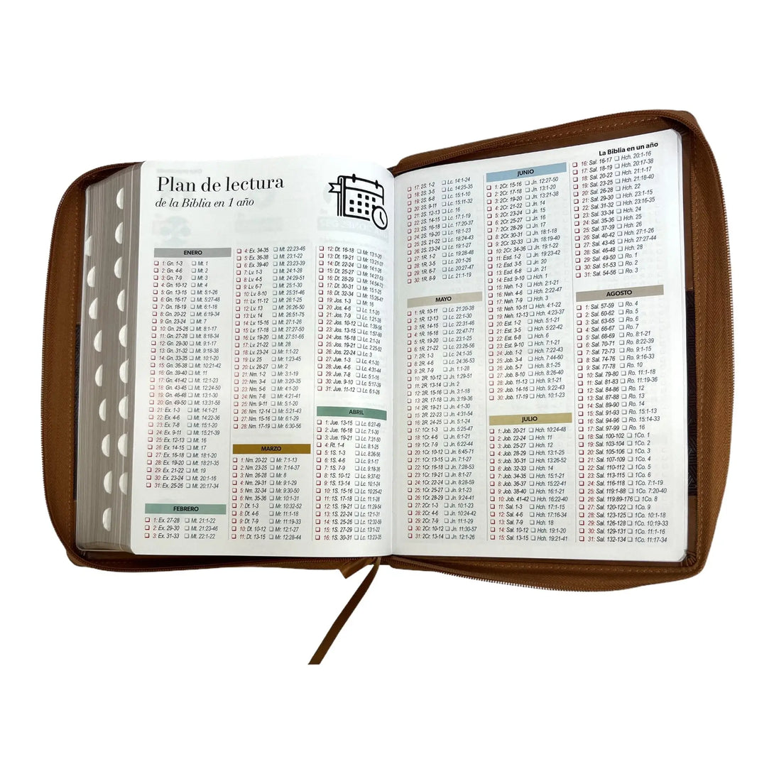 Biblia Reina Valera 1960 tamaño Súper Gigante (185x260 mm)