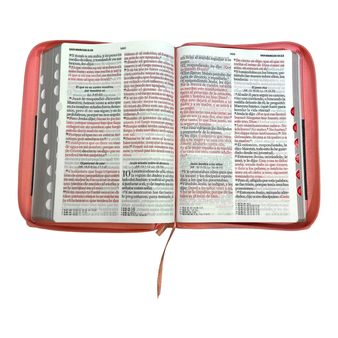 Biblia Reina Valera 1960 tamaño Súper Gigante (185x260 mm)