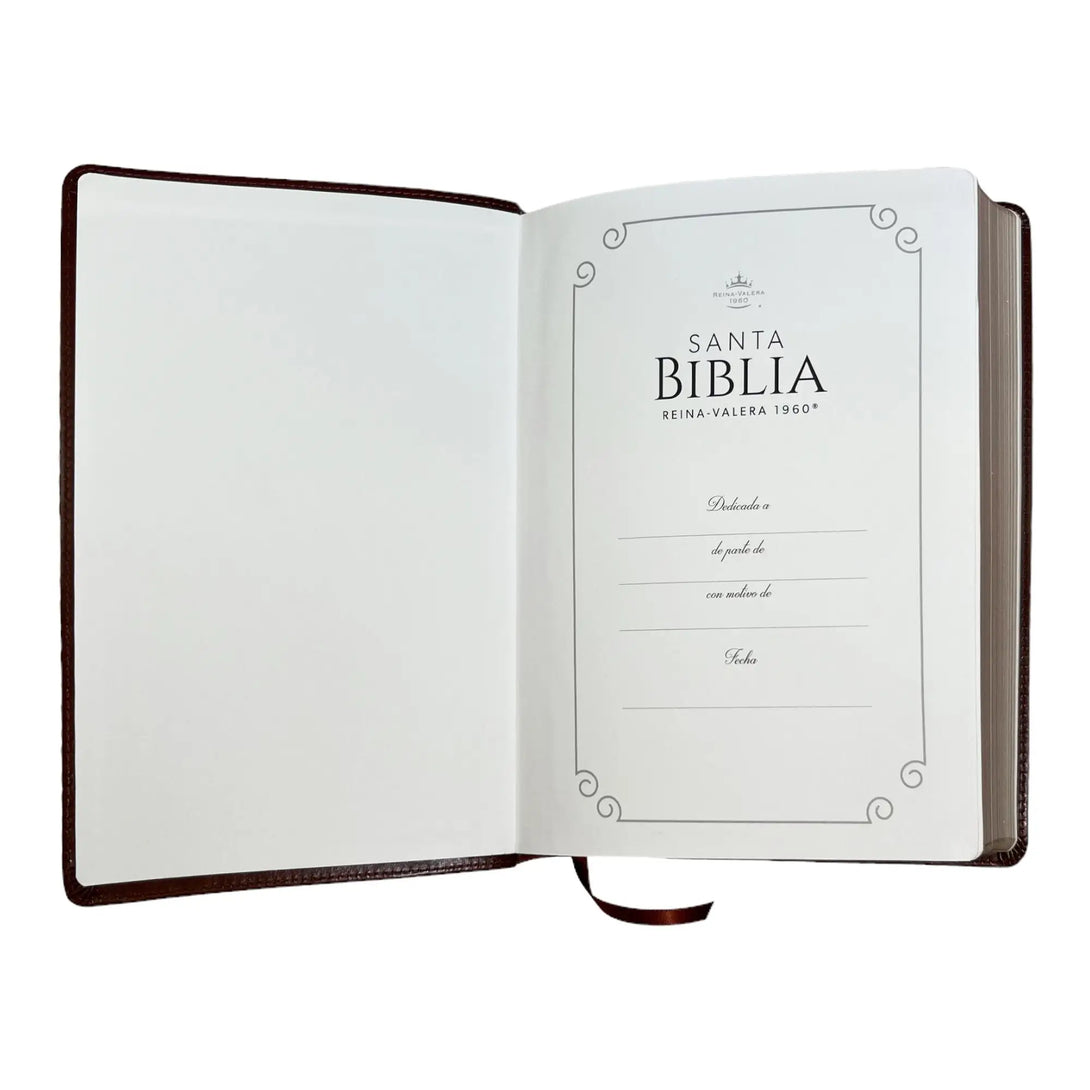 Biblia Reina Valera 1960 tamaño Súper Gigante (185x260 mm)