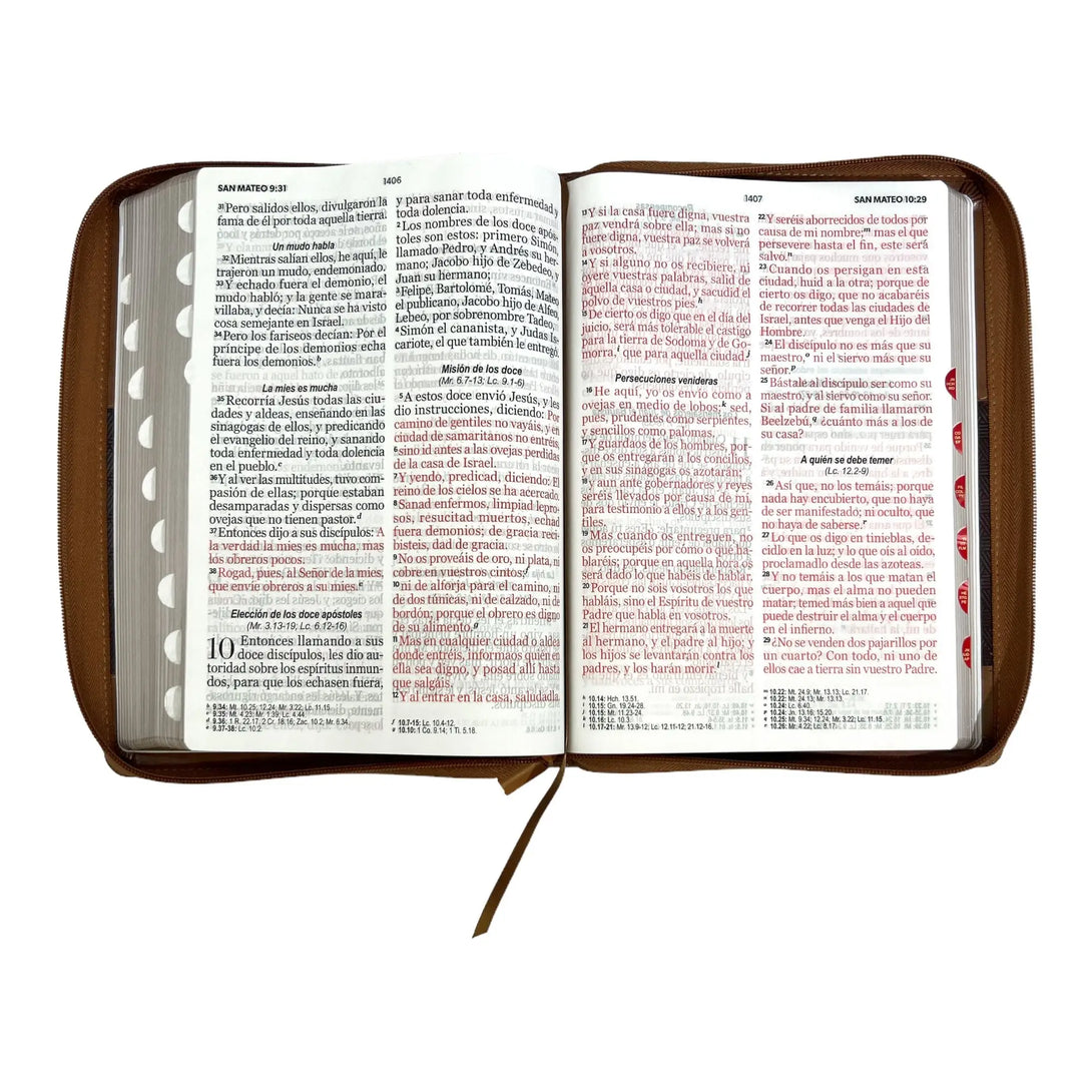 Biblia Reina Valera 1960 tamaño Súper Gigante (185x260 mm)