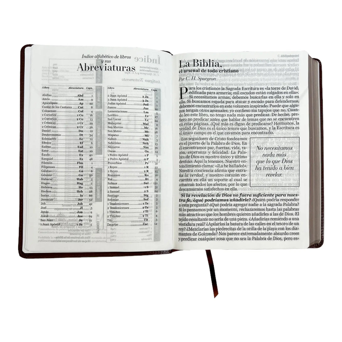 Biblia Reina Valera 1960 tamaño Súper Gigante (185x260 mm)