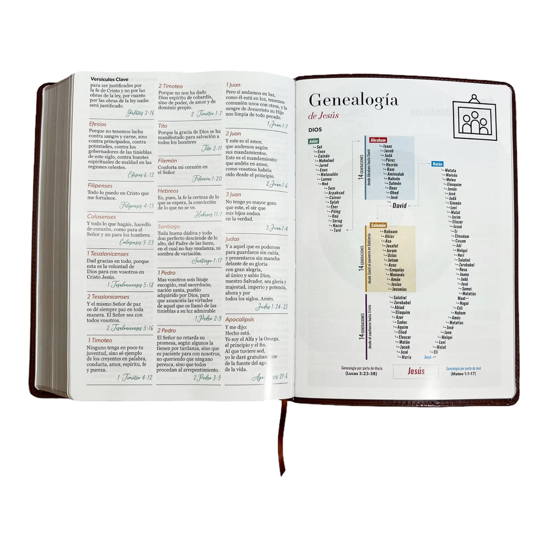 Biblia Reina Valera 1960 tamaño Súper Gigante (185x260 mm)
