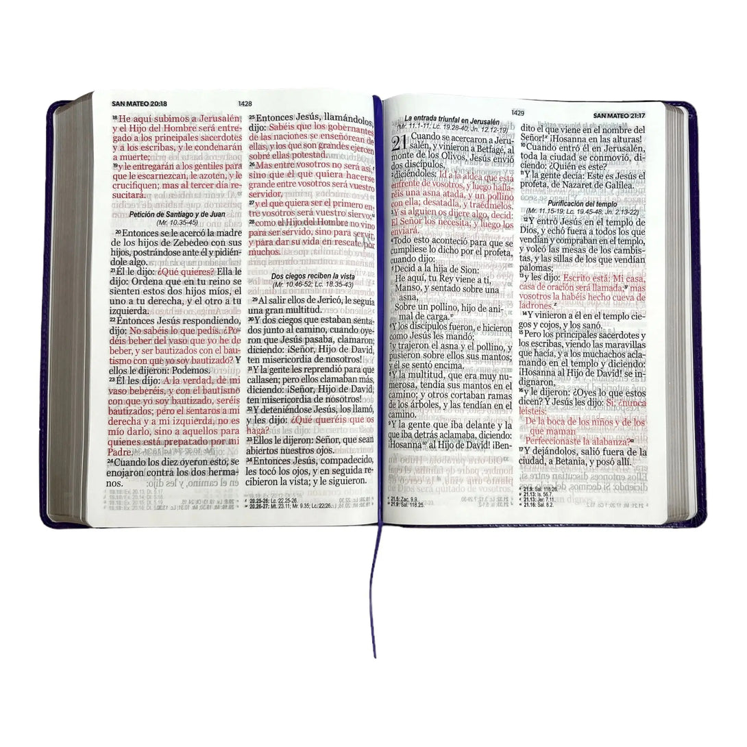 Biblia Reina Valera 1960 tamaño Súper Gigante (185x260 mm)