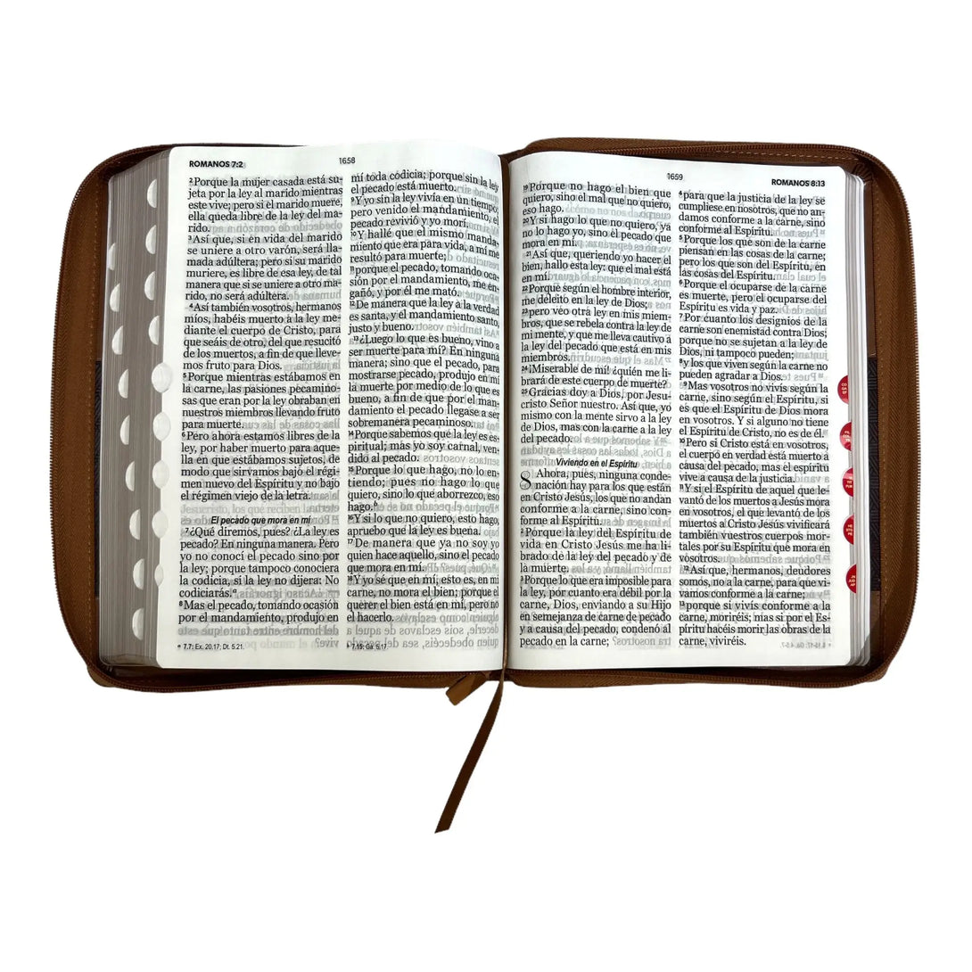 Biblia Reina Valera 1960 tamaño Súper Gigante (185x260 mm)