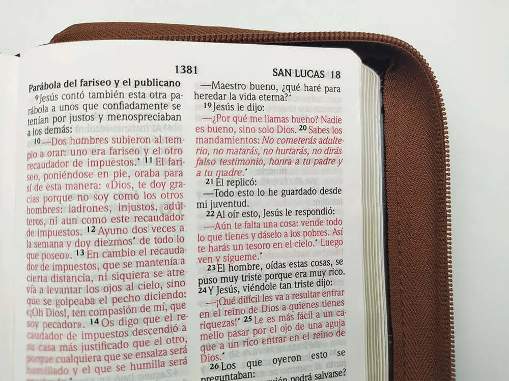 Biblia Reina Valera 2020 Letra Grande 10 puntos tamaño portátil modelo cruz café con cierre