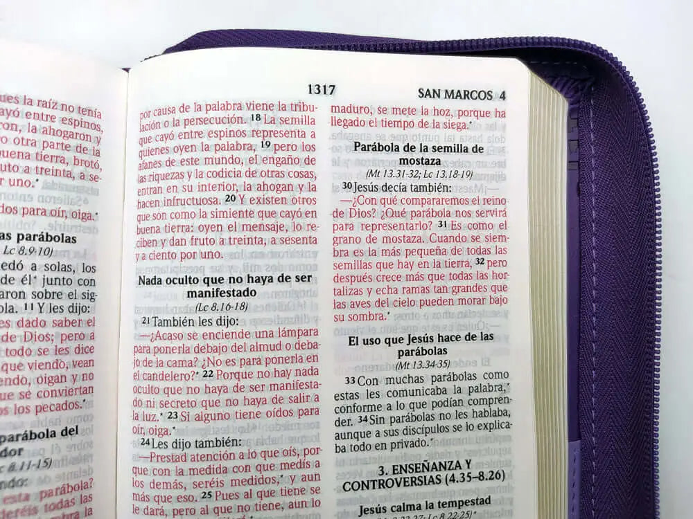 Biblia Reina Valera 2020 Letra Grande 10 puntos tamaño portátil modelo cruz lila con cierre