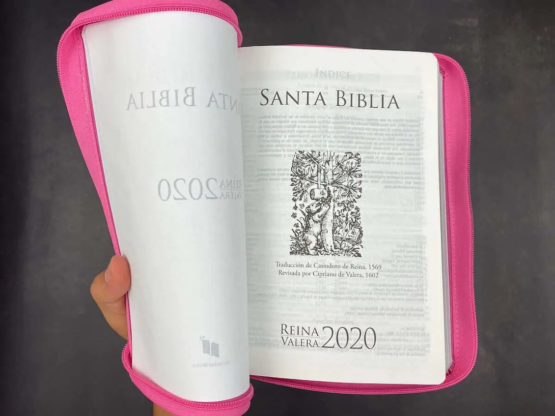 Biblia Reina Valera 2020 Letra Grande 12 puntos, colección Motivos de fe rosa música con cierre