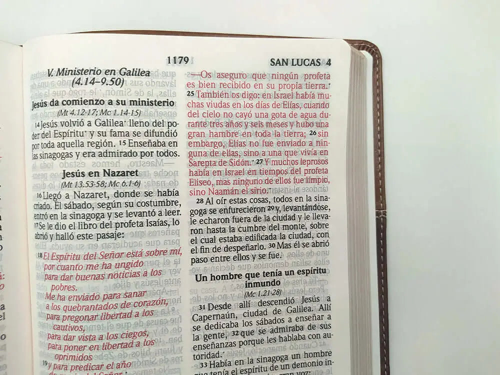 Biblia Reina Valera 2020, tamaño manual, Letra Grande 12 puntos, Colección TriColor Café