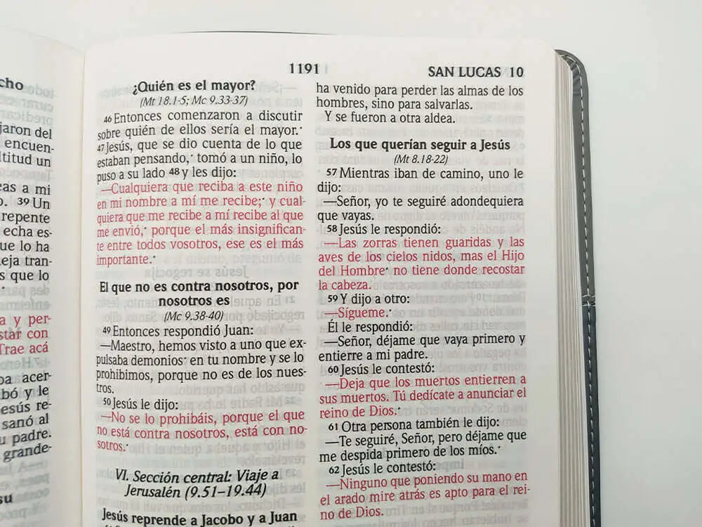 Biblia Reina Valera 2020, tamaño manual, Letra Grande 12 puntos, Colección TriColor Gris claro/Gris Oscuro/Negro