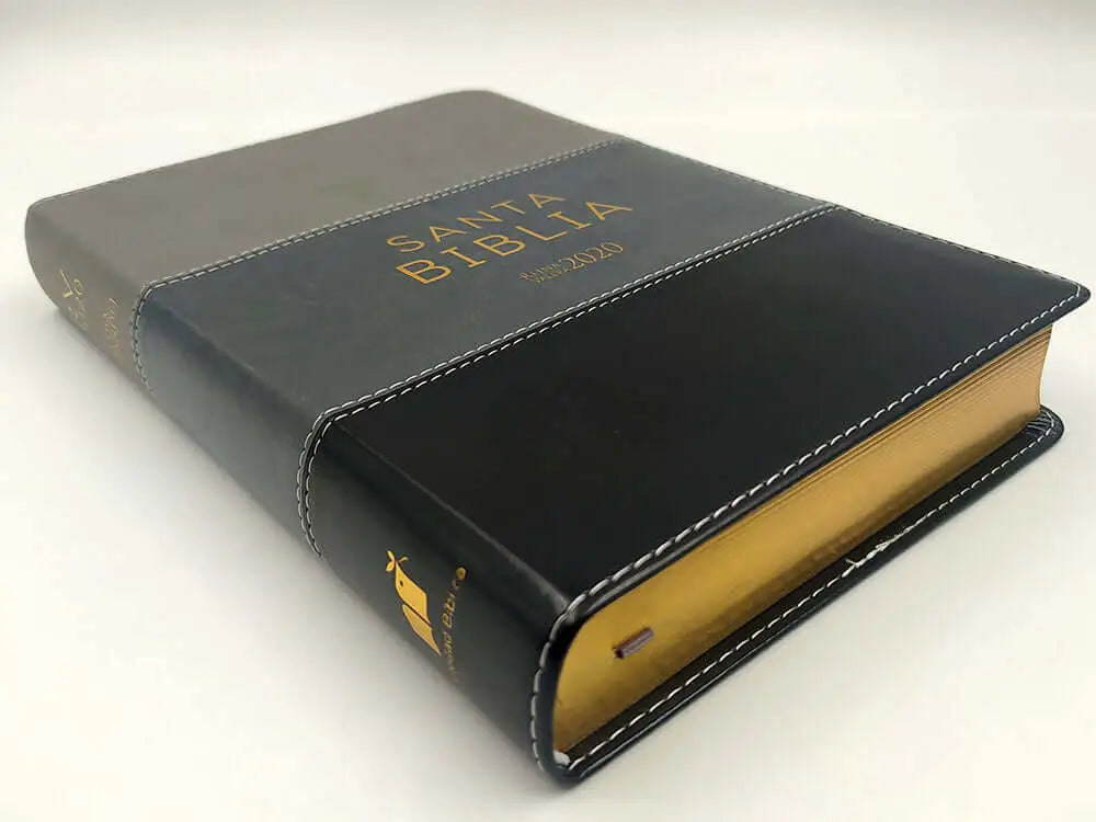 Biblia Reina Valera 2020, tamaño manual, Letra Grande 12 puntos, Colección TriColor Gris claro/Gris Oscuro/Negro