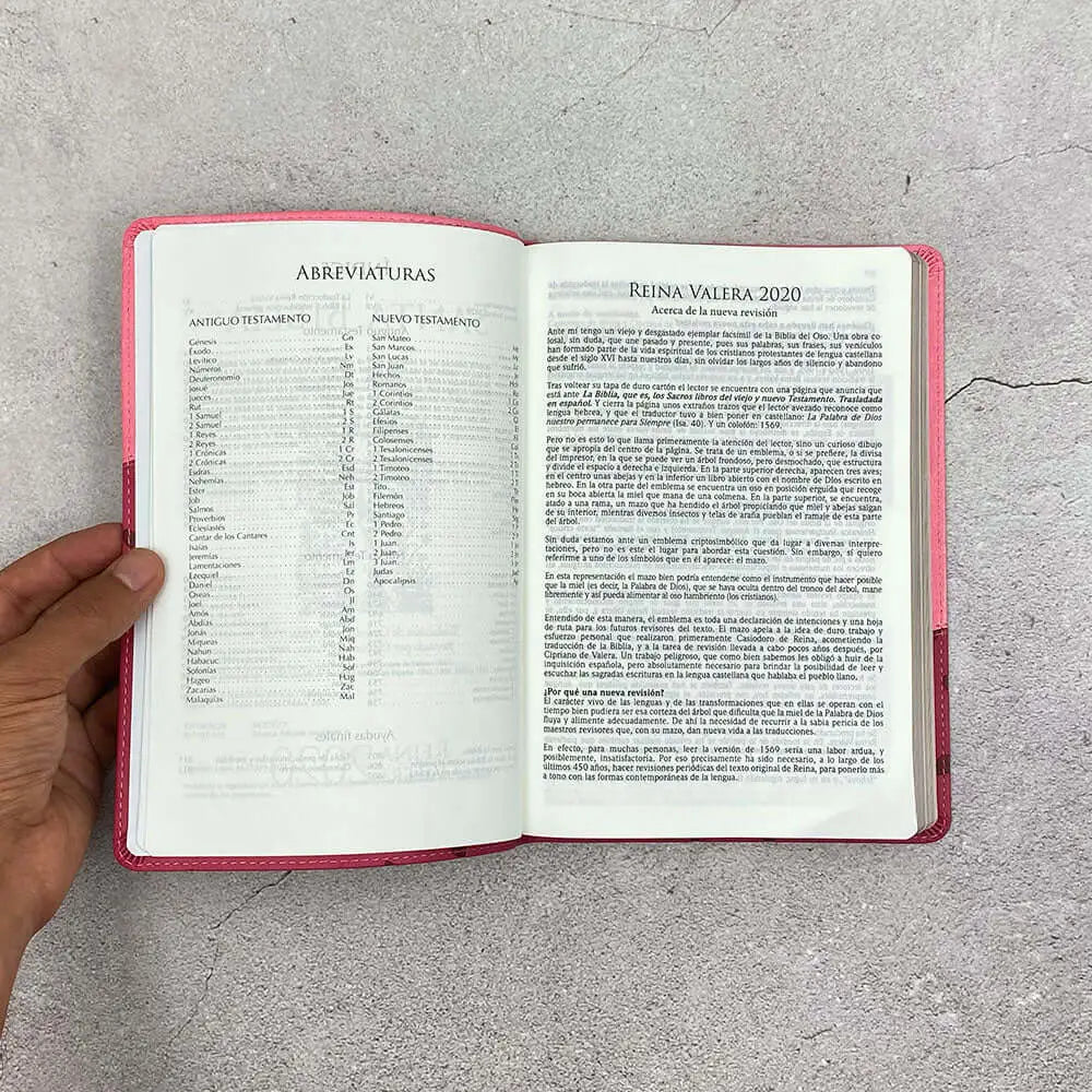 Biblia Reina Valera 2020 ultrafina imitación piel Delicadeza rosa/rosa corazones